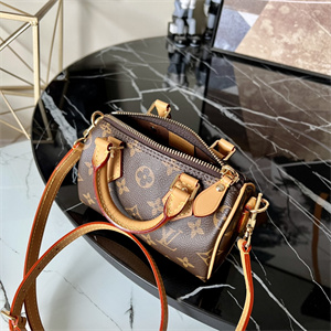 L.V Nano Speedy Monogram Canvas M81085