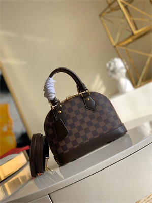 L.V Alma BB Bag Damier Ebene Canvas N40606