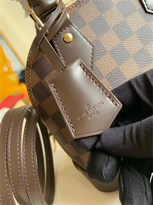 L.V Alma BB Bag Damier Ebene Canvas N40606