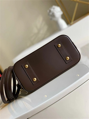 L.V Alma BB Bag Damier Ebene Canvas N40606