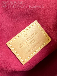 L.V Micro Chantilly Mini Bag Monogram Canvas M46643