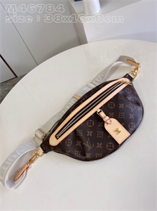 L.V High Rise Bumbag Monogram Canvas M46784
