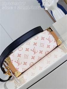 LV Side Trunk MM Monogram Canvas M46907