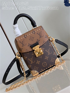 L.V Camera Box Bag Monogram Canvas M82465