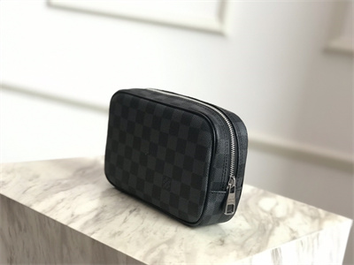 L.V Toilet Pouch PM Damier Graphite N47522