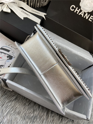 Cha.nel Medium Leboy Bag With Top Handle Python Leather Silver Metal A94804