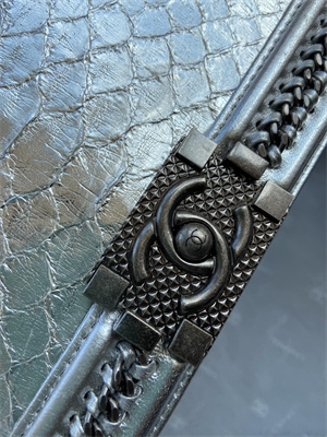 Cha.nel Medium Leboy Bag With Top Handle Python Leather Silver Metal A94804