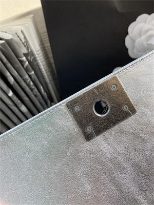 Cha.nel Medium Leboy Bag With Top Handle Python Leather Silver Metal A94804