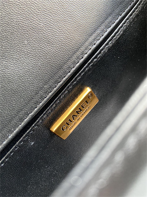 Cha.nel Medium Leboy Bag With Top Handle Python Leather Gold Metal A94804