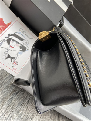 Cha.nel Medium Leboy Bag With Top Handle Python Leather Gold Metal A94804