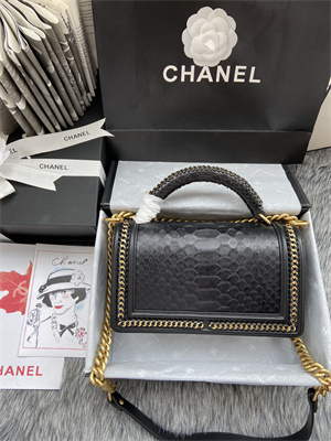 Cha.nel Medium Leboy Bag With Top Handle Python Leather Gold Metal A94804