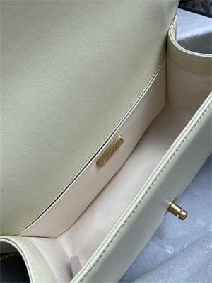 Cha.nel Medium Leboy Bag With Top Handle Python Leather Gold Metal A94804