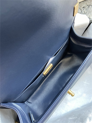 Cha.nel Medium Leboy Bag With Top Handle Python Leather Gold Metal A94804