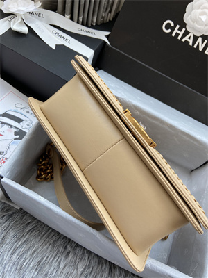 Cha.nel Medium Leboy Bag With Top Handle Python Leather Gold Metal A94804