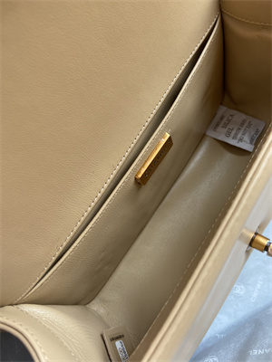 Cha.nel Medium Leboy Bag With Top Handle Python Leather Gold Metal A94804