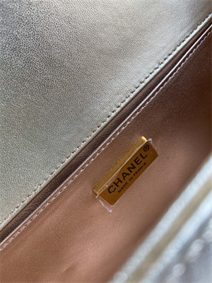 Cha.nel Medium Leboy Bag With Top Handle Python Leather Gold Metal A94804