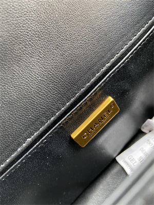 Cha.nel Medium Leboy Bag With Top Handle Python Leather Gold Metal A94804