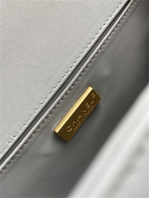 Cha.nel Medium Leboy Bag With Top Handle Python Leather Gold Metal A94804