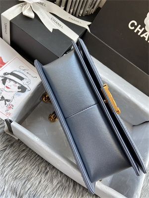 Cha.nel Medium Leboy Bag With Top Handle Python Leather Gold Metal A94804