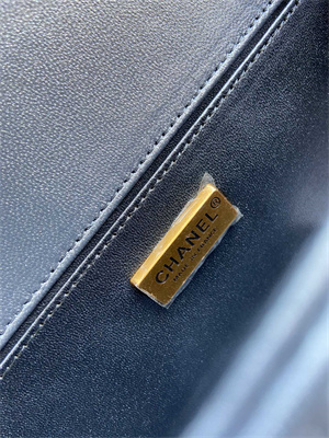 Cha.nel Medium Leboy Bag With Top Handle Python Leather Gold Metal A94804