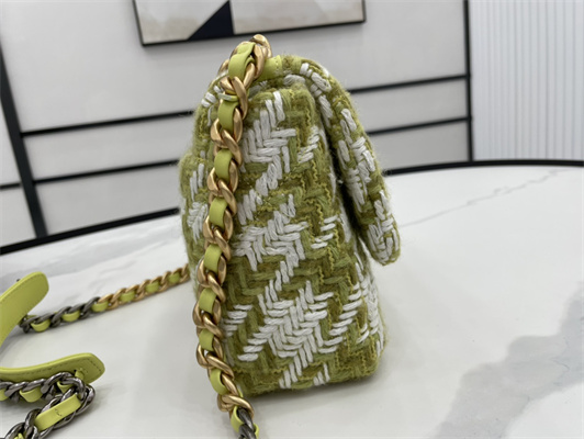 Chanel 19 Handbag Wool Tweed Gold Double C Metal Green/White AS1160