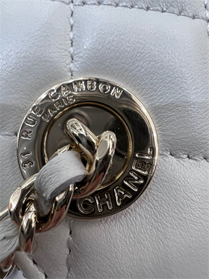 Cha.nel Vanity Case With Chain Lambskin Gold Tone Metal White AP2581