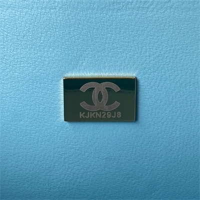 Cha.nel Vanity Case With Top Handle Grained Calfskin Gold Tone Metal Blue AP3222