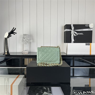 Cha.nel Super Mini Classic Flap Bag Grained Calfskin Gold Tone Metal Lt Green 01115