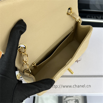 Cha.nel Mini Classic Flap Bag Grained Calfskin Gold Tone Metal Beige 01116