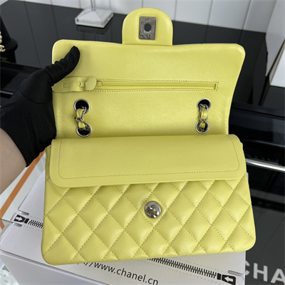 Cha.nel Small Classic Flap Bag Grained Calfskin Silver Tone Metal Yellow 01117