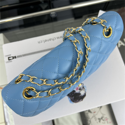 Cha.nel Small Classic Flap Bag Lambskin Gold Tone Metal Blue 01117