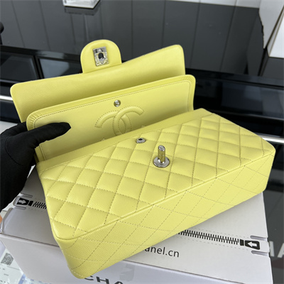 Cha.nel Medium Classic Flap Bag Grained Calfskin Silver Tone Metal Yellow 01112