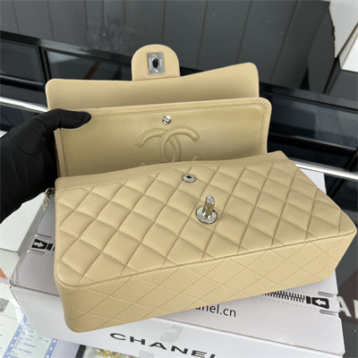 Cha.nel Medium Classic Flap Bag Grained Calfskin Silver Tone Metal Beige 01112