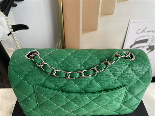 Cha.nel Mini Classic Flap Bag Grained Calfskin Silver Tone Metal Green 01116