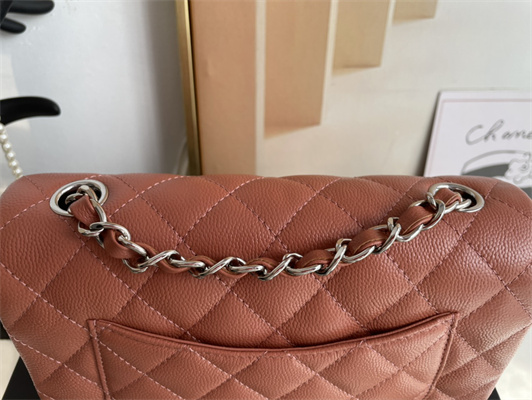 Cha.nel Mini Classic Flap Bag Grained Calfskin Silver Tone Metal Caramel 01116