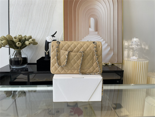 Cha.nel Medium Classic Flap Bag Lambskin Silver Tone Metal Beige 01112