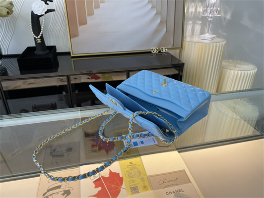 Cha.nel Medium Classic Flap Bag Lambskin Gold Tone Metal Blue 01112