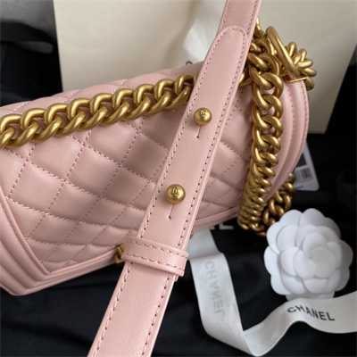 Cha.nel Small Leboy Bag Smooth Calfskin Aged Gold Metal Pink A67085