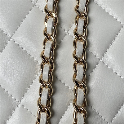 Cha.nel Vanity Case With Top Handle Lambskin Gold Tone Metal White AP2199