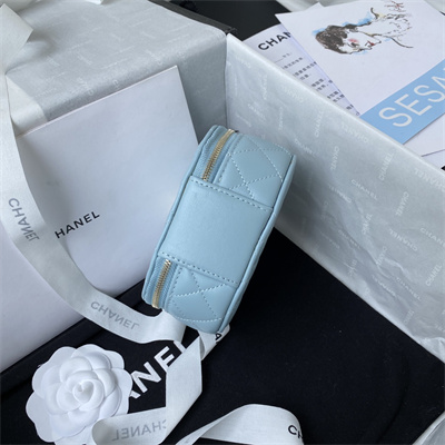 Cha.nel Vanity Case With Top Handle Lambskin Gold Tone Metal Blue AP2731