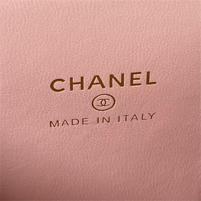 Cha.nel Vanity Case Lambskin Gold Tone Metal Pink AP3300