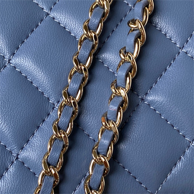 Cha.nel Clutch/Phone Holder With Chain Gold Tone Metal Blue AP3226