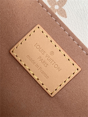 L.V Pochette  Métis  East West Monogram Canvas M46914