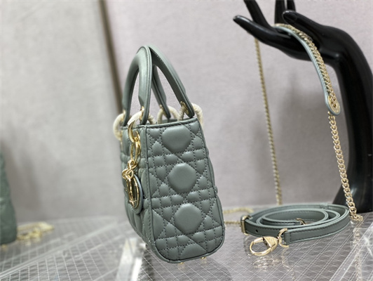 CD Mini Lady Di.or Bag Cannage Lambskin Enamel Charms Gold Tone Metal Stone Gray