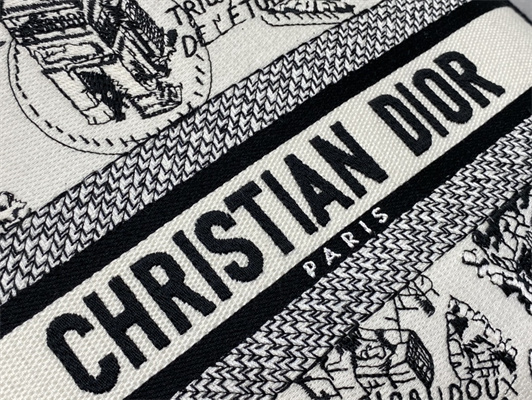 CD Medium Lady Di.or D-Lite Bag Plan de Paris Embroidery White and Black