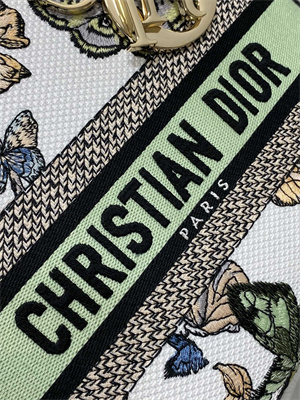 CD Medium Lady Di.or D-Lite Bag Toile de Jouy Mexico Embroidery White Multicolor