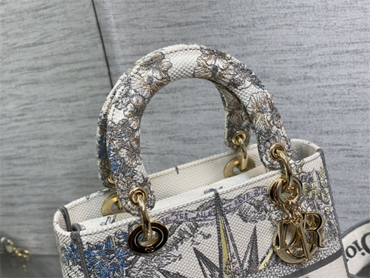 CD Medium Lady Di.or D-Lite Bag R??ve d’Infini  Embroidery White and Multicolor