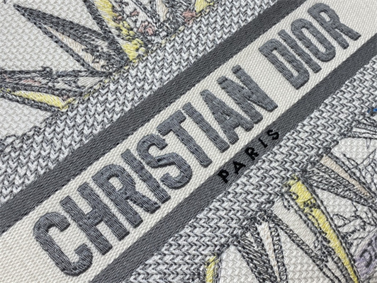 CD Medium Lady Di.or D-Lite Bag R??ve d’Infini  Embroidery White and Multicolor