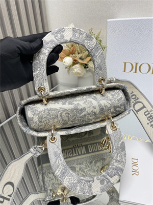 CD Medium Lady Di.or D-Lite Bag Toile de Jouy Embroidery White and Grey