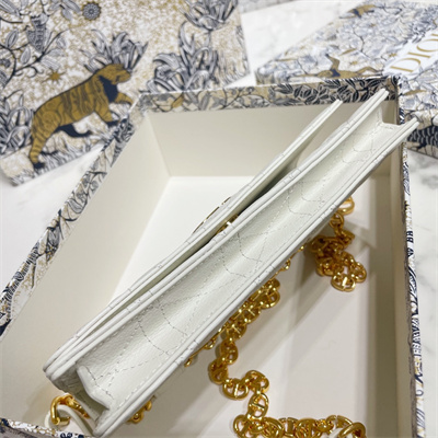 CD Caro Belt Pouch With Chain Supple Cannage Calfskin Gold Tone Metal White